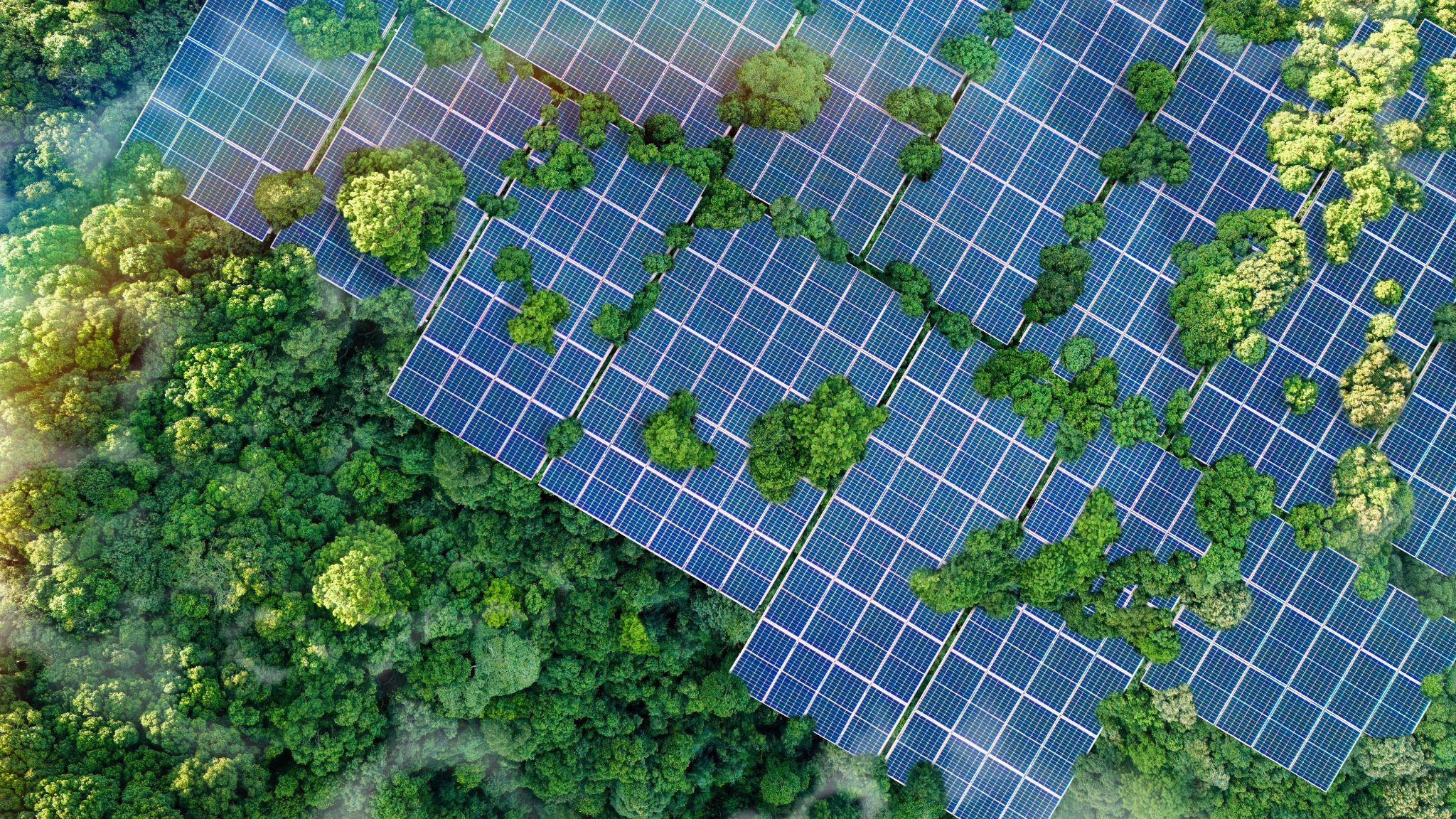 Aerial view of solar panels integrated into forest canopy